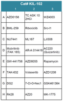 Kinase Inhibitor Compound Screening Library 2 (Cat# KIL-102)